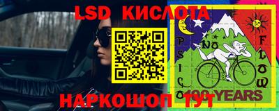 шишки Бузулук