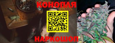 шишки Бузулук