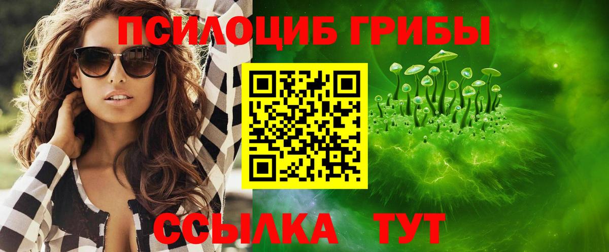 Ржев  Галлюциногенные грибы Psilocybine cubensis  Вход с VPN 